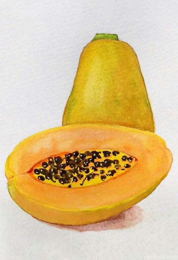 Papaya Fruit Painting By Numbers Kits