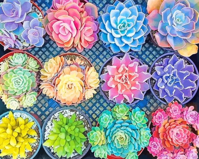 Succulent Pots Painting By Numbers Kits