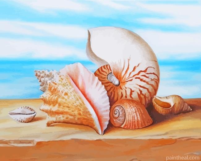 Sea Shells Painting By Numbers Kits