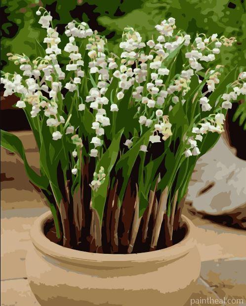 Lily of the Valley Pot Painting By Numbers Kits