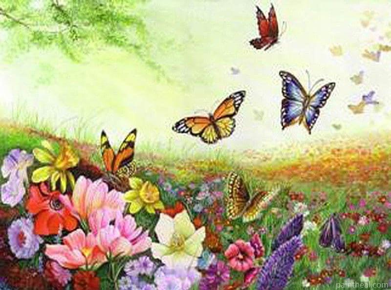 Spring Butterflies Painting By Numbers Kits