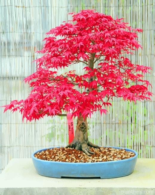 Pink Bonsai Tree Painting By Numbers Kits