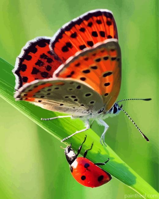 Ladybug And Butterfly Painting By Numbers Kits
