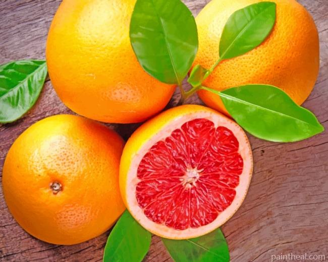 Pamplemousse Fruit Painting By Numbers Kits
