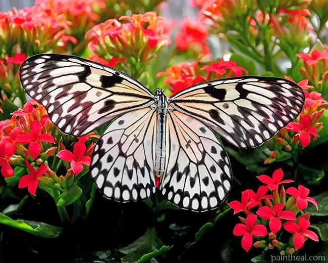 Large Tree Nymph Butterfly Painting By Numbers Kits