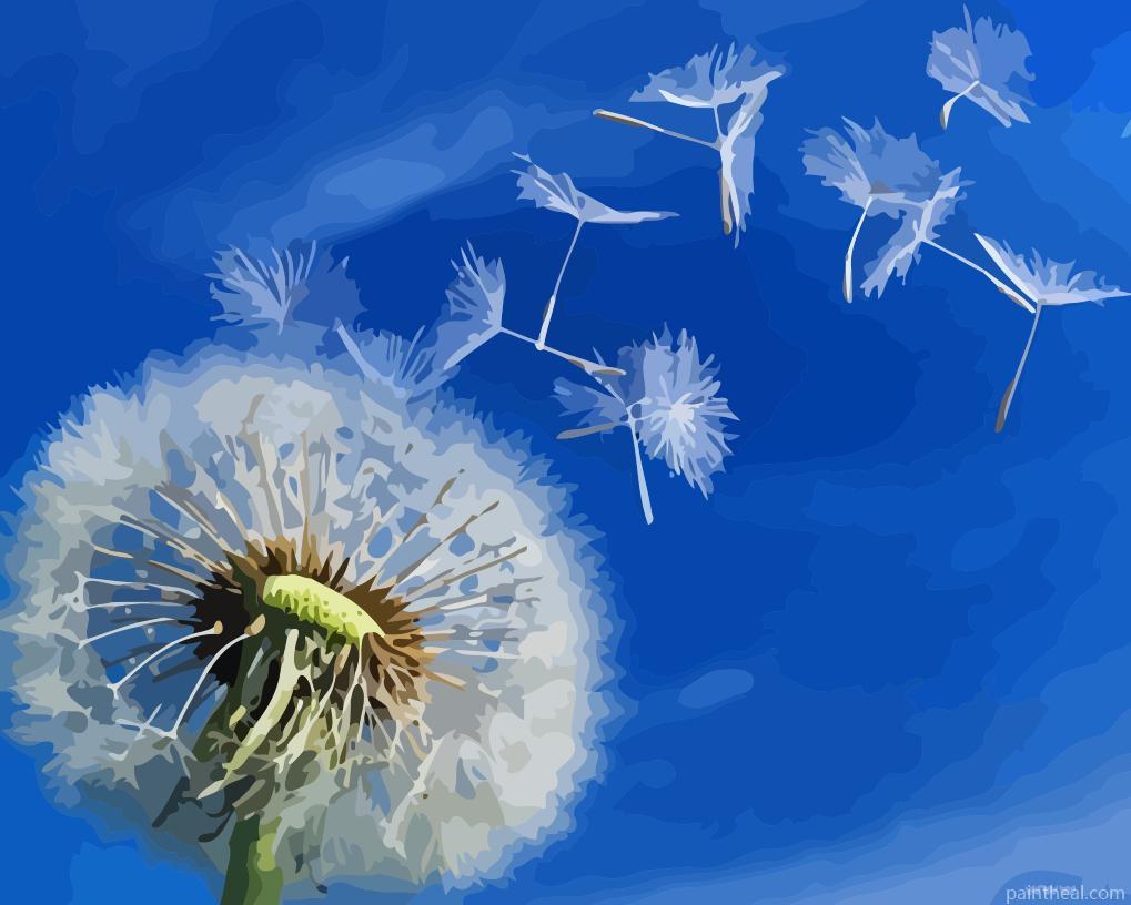 Seed Dispersal By Wind Painting By Numbers Kits