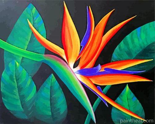 Bird Of Paradise Plant Painting By Numbers Kits