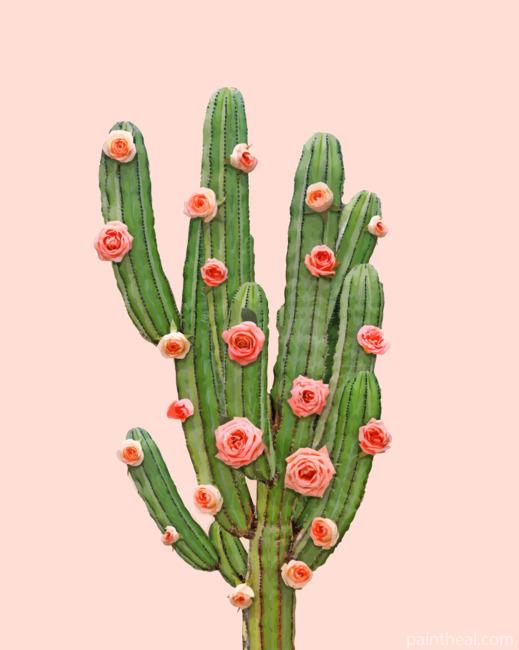Cactus And Pink Roses Painting By Numbers Kits
