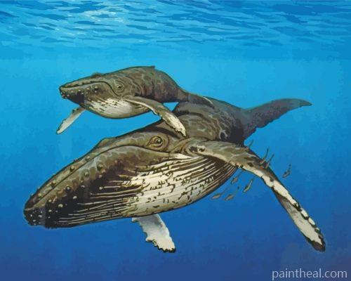 Big Whales Painting By Numbers Kits