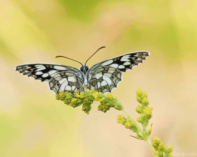 Nymph Butterfly Painting By Numbers Kits