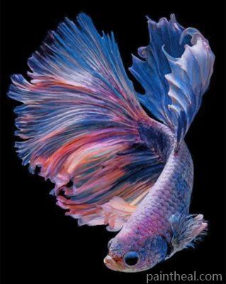 Purple Betta Fish Vector Painting By Numbers Kits