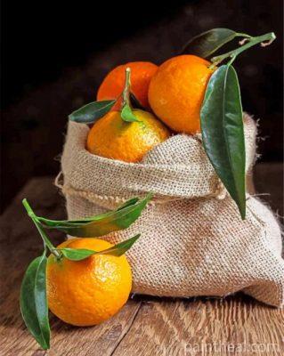 Mandarin Fruit Painting By Numbers Kits