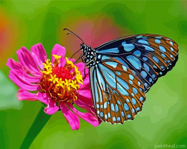 Blue Butterfly On Flower Painting By Numbers Kits