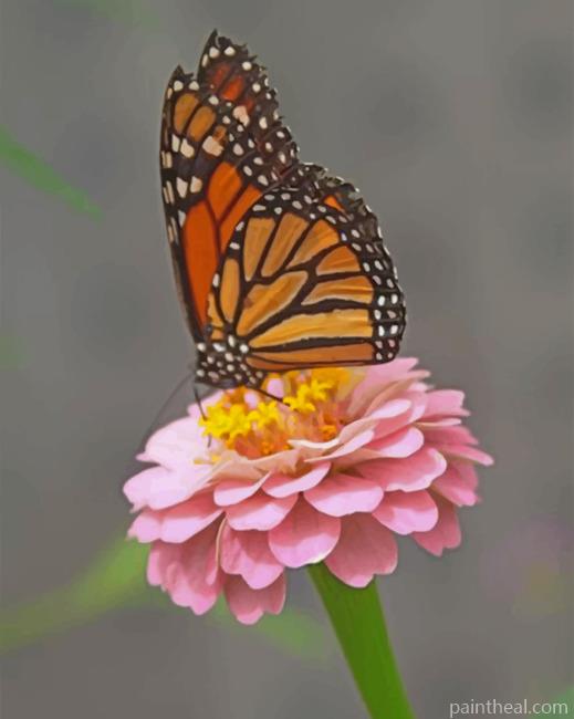 Monarch Butterfly On A Pink Flower Painting By Numbers Kits