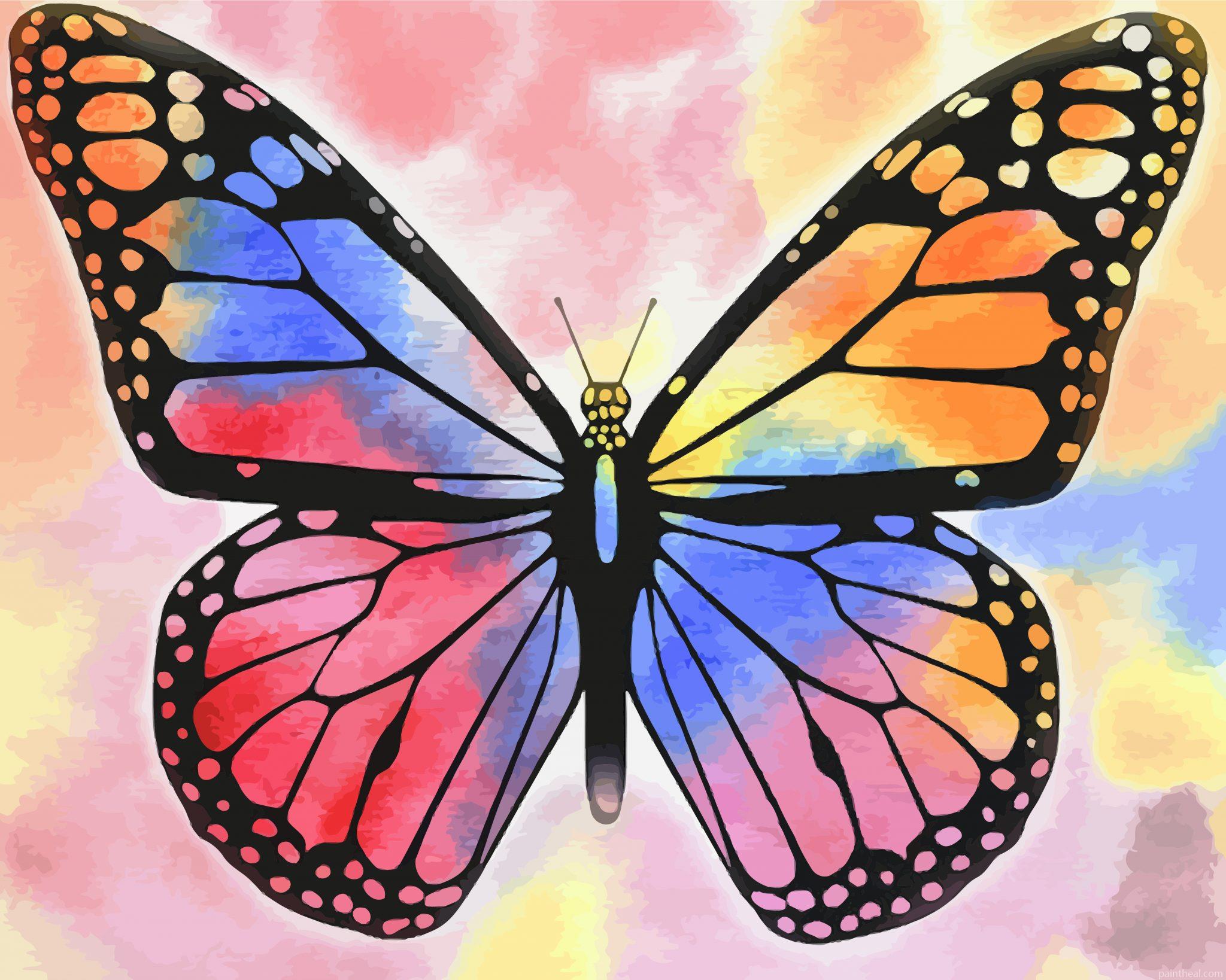 Multicolored Butterfly Painting By Numbers Kits
