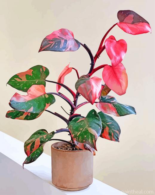 Pink Philodendron Painting By Numbers Kits