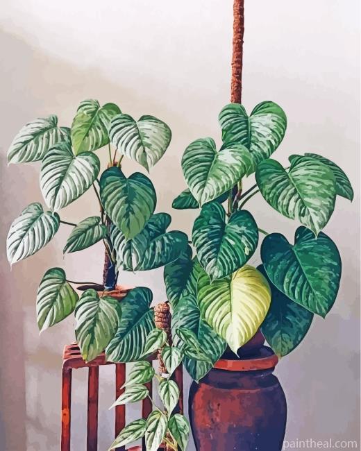 Aesthetic Philodendron Painting By Numbers Kits