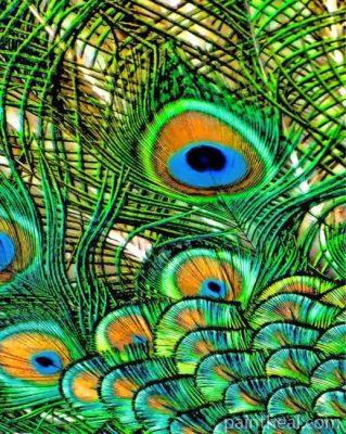 Peacock Feathers Painting By Numbers Kits