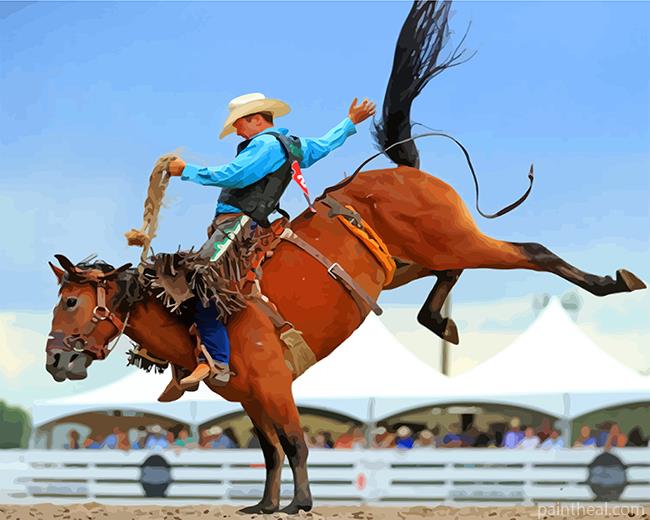 Rodeo Man Painting By Numbers Kits