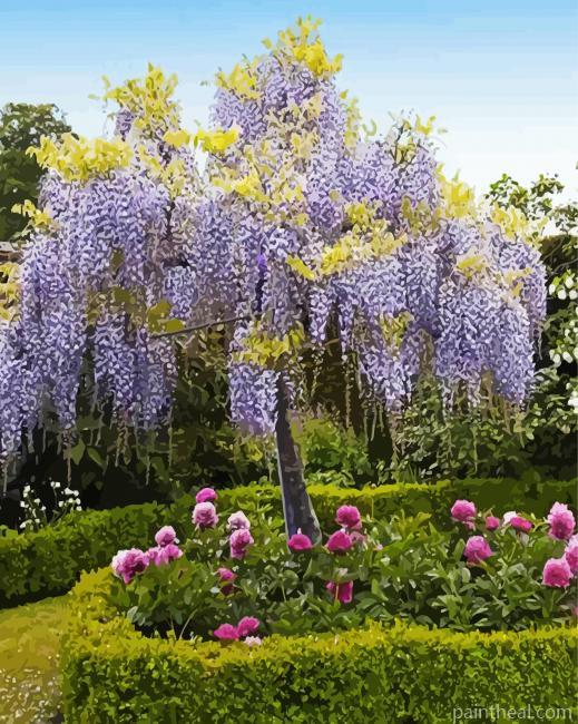 Purple Wisteria Tree Painting By Numbers Kits