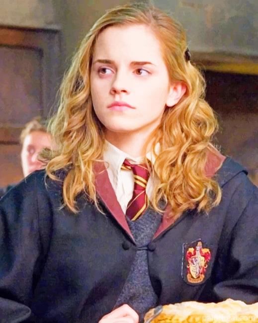 Hermione Granger Painting By Numbers Kits