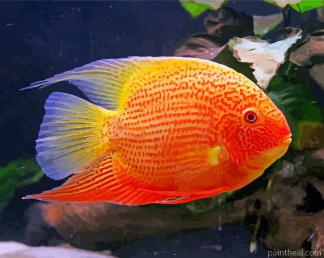 Orange Severum Painting By Numbers Kits