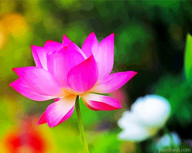 Pink Lotus Flower Painting By Numbers Kits