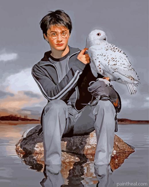Harry Potter And Hedwig Painting By Numbers Kits