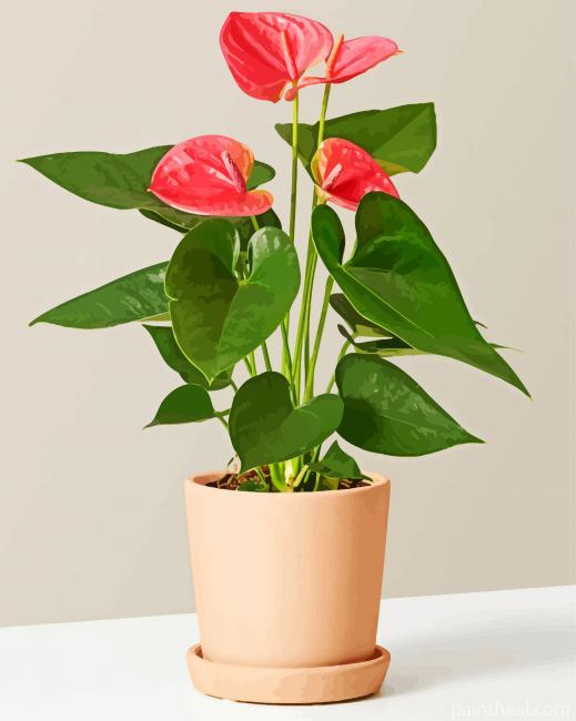 The Still Anthurium Pink Plant Painting By Numbers Kits
