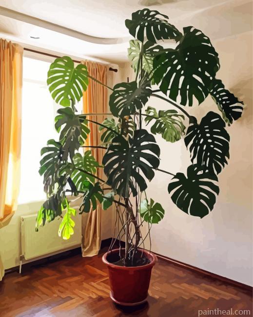 Monstera Pot Painting By Numbers Kits