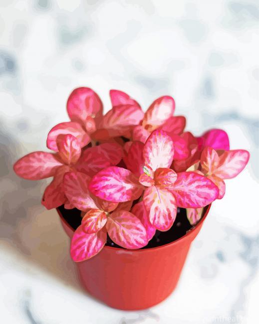 Pink Plants Painting By Numbers Kits
