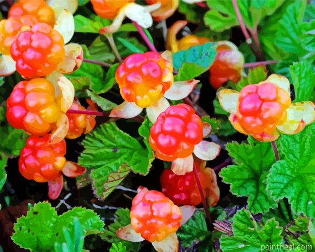 Cloudberry Painting By Numbers Kits