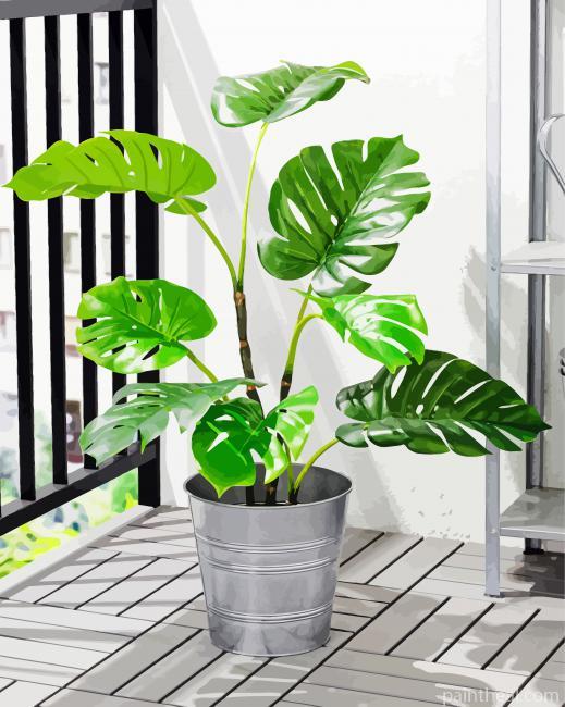Potted Plant Indoor Outdoor Monstera Painting By Numbers Kits