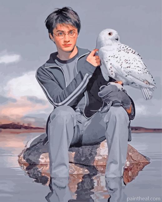 Aesthetic Harry Potter Hedwig Painting By Numbers Kits