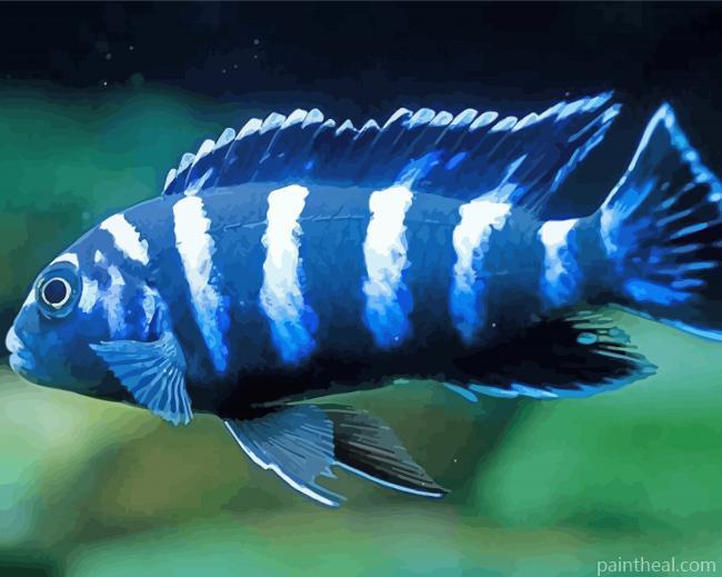 Blue Cichlid Painting By Numbers Kits