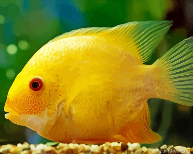 Yellow Severum Painting By Numbers Kits