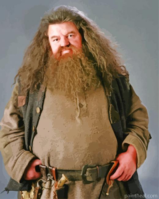 Rubeus Hagrid From Harry Potter Painting By Numbers Kits
