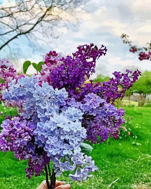 Cute Lilac Tree Painting By Numbers Kits