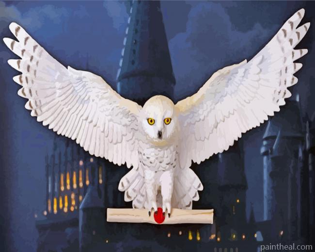 Hedwig Snowy Owl Painting By Numbers Kits