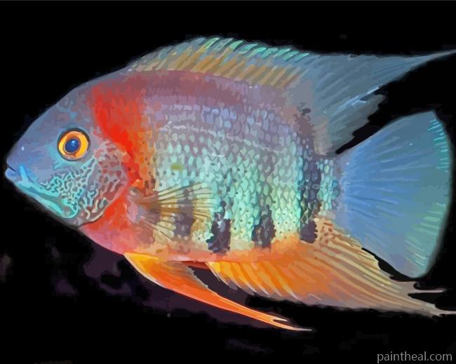 Colorful Severum Painting By Numbers Kits