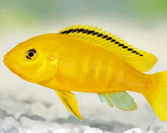 Yellow Cichlid Painting By Numbers Kits