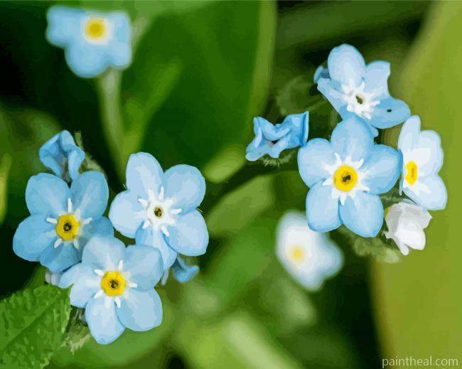 Forget Me Not Flowes Painting By Numbers Kits