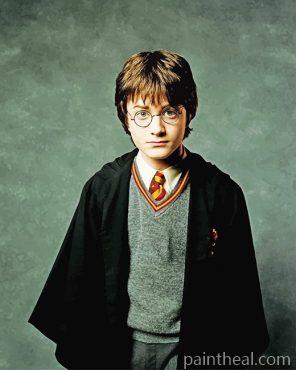 Daniel Radcliffe Harry Potter Painting By Numbers Kits