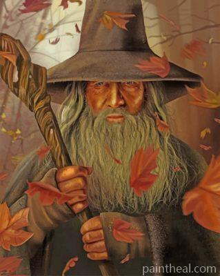 Gandalf Illustration Painting By Numbers Kits