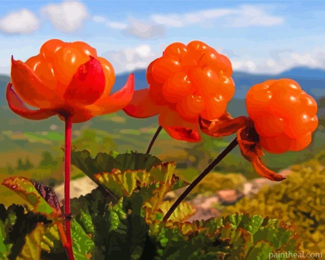Cloudberry Fruit Painting By Numbers Kits