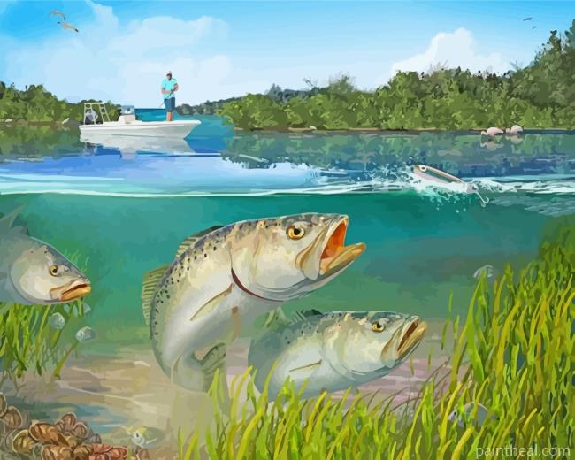 Trout Fishes Painting By Numbers Kits