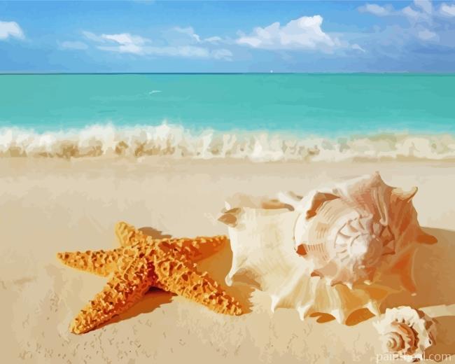 Aesthetic Sea Shells Painting By Numbers Kits