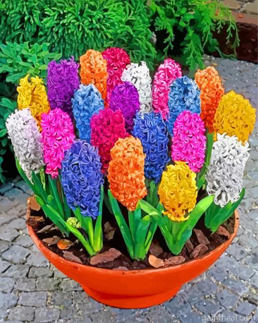 Colorful Hyacinth Flowers Painting By Numbers Kits