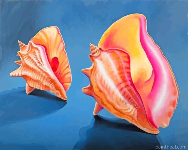 Conch Shells Painting By Numbers Kits