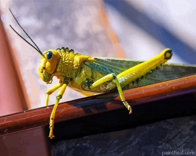 Green Locust Painting By Numbers Kits